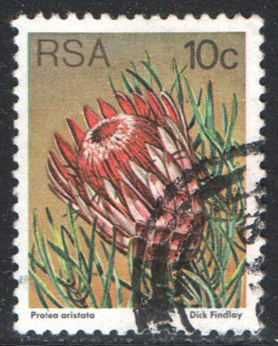 South Africa Scott 484 Used